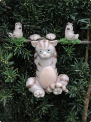 Chat Acrobate