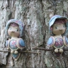 Oiseaux des jardins Normands 
